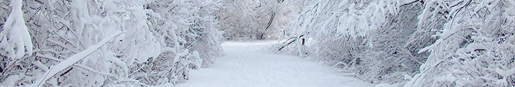 FEBRUARY 2022 SCOOP eNewsletter February 2022 SCOOP eNewsletter